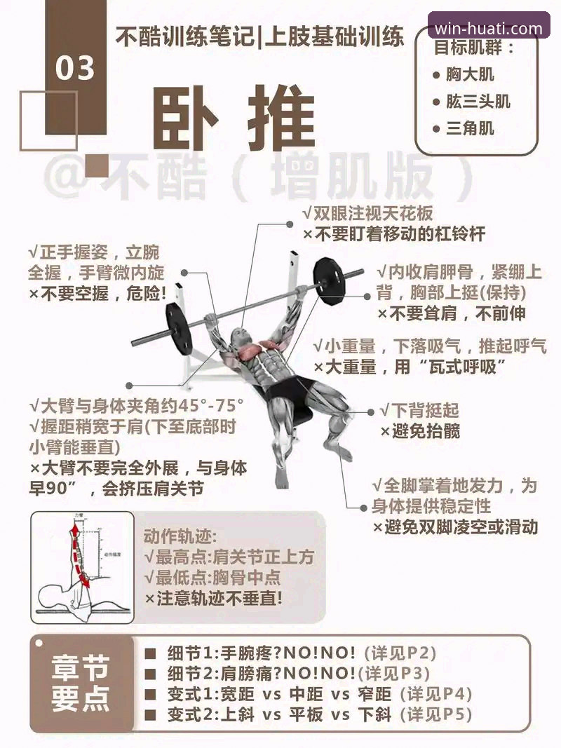 华体会体育平台最新动态：一站式活动指南与新手体验全解析